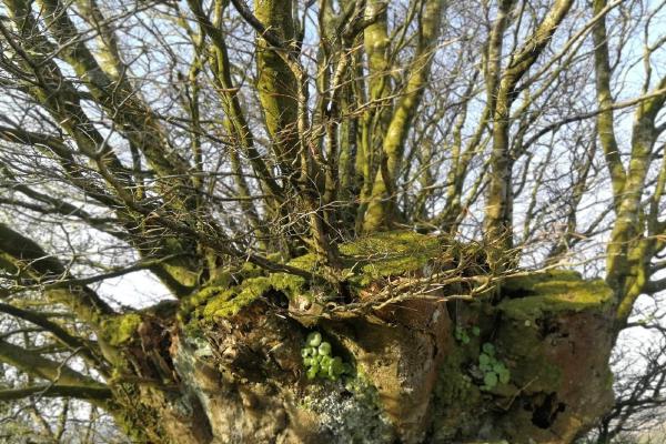 Are your problems more interwoven than initially thought?